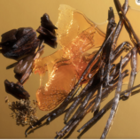 Screenshot 2024-02-28 at 4.12.57 PM